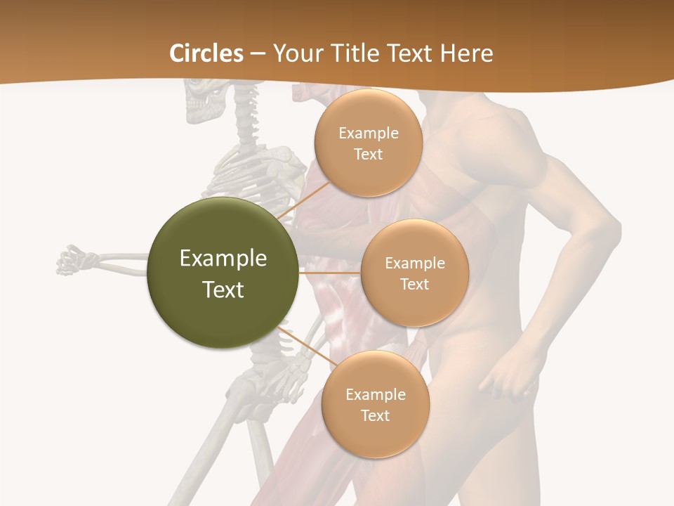 A Man And A Woman With Muscles Powerpoint Presentation PowerPoint Template