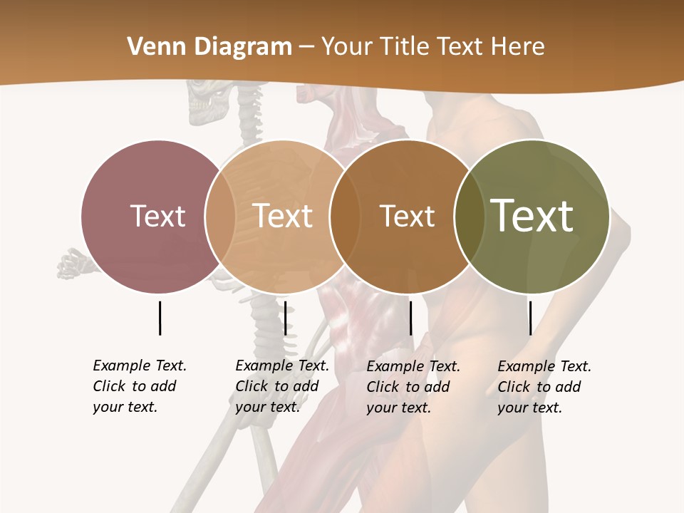 A Man And A Woman With Muscles Powerpoint Presentation PowerPoint Template