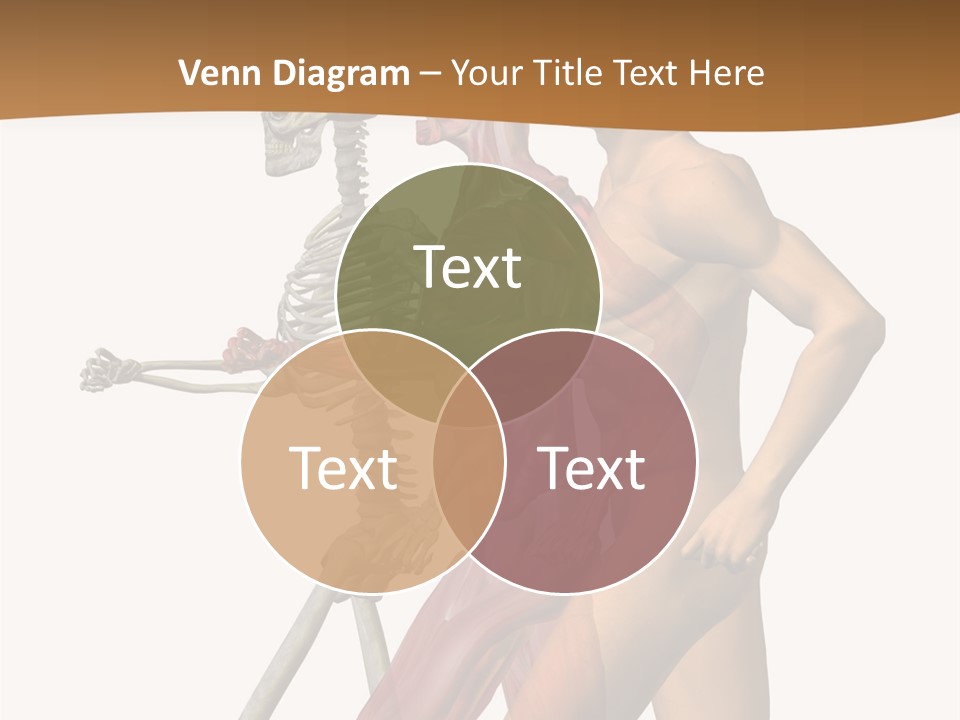 A Man And A Woman With Muscles Powerpoint Presentation PowerPoint Template