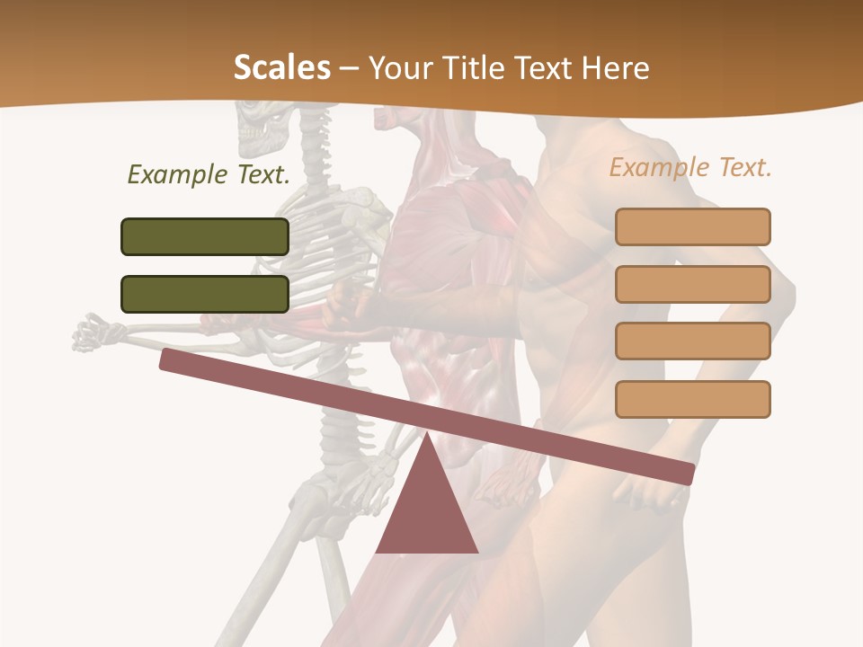 A Man And A Woman With Muscles Powerpoint Presentation PowerPoint Template