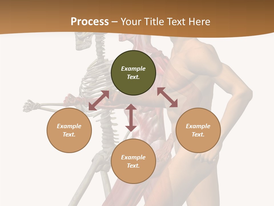 A Man And A Woman With Muscles Powerpoint Presentation PowerPoint Template