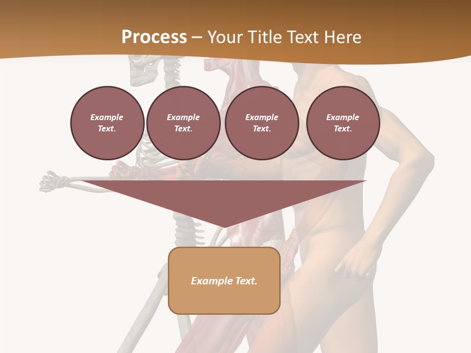 A Man And A Woman With Muscles Powerpoint Presentation PowerPoint Template