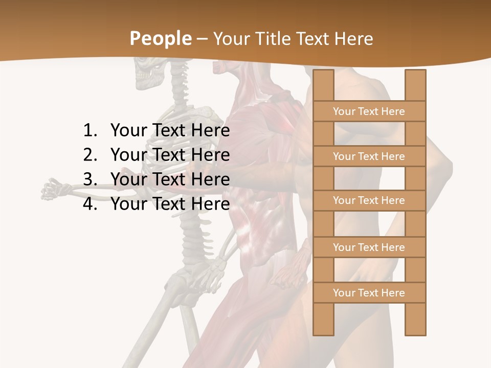 A Man And A Woman With Muscles Powerpoint Presentation PowerPoint Template