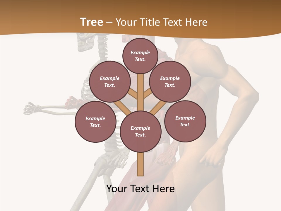 A Man And A Woman With Muscles Powerpoint Presentation PowerPoint Template