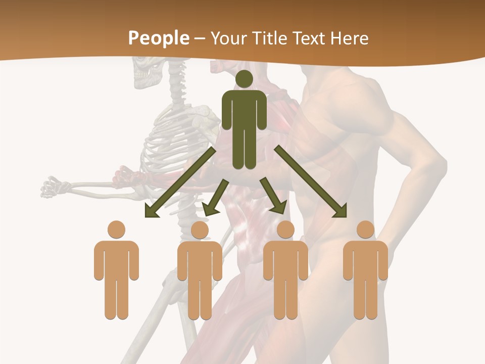 A Man And A Woman With Muscles Powerpoint Presentation PowerPoint Template