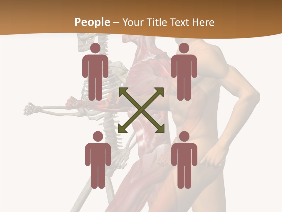 A Man And A Woman With Muscles Powerpoint Presentation PowerPoint Template