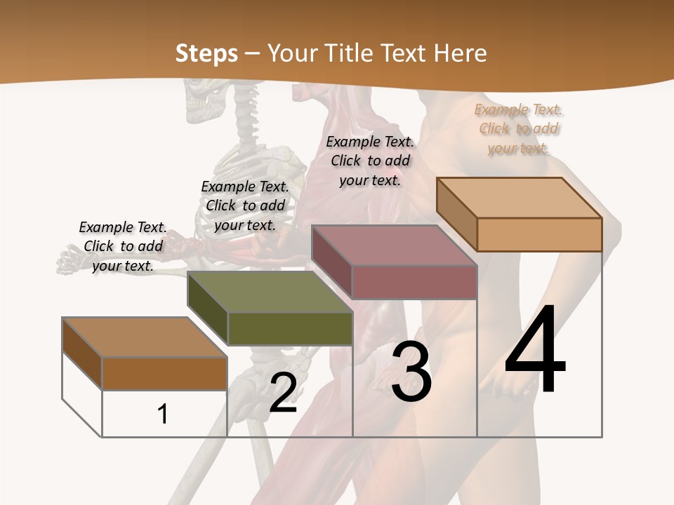 A Man And A Woman With Muscles Powerpoint Presentation PowerPoint Template