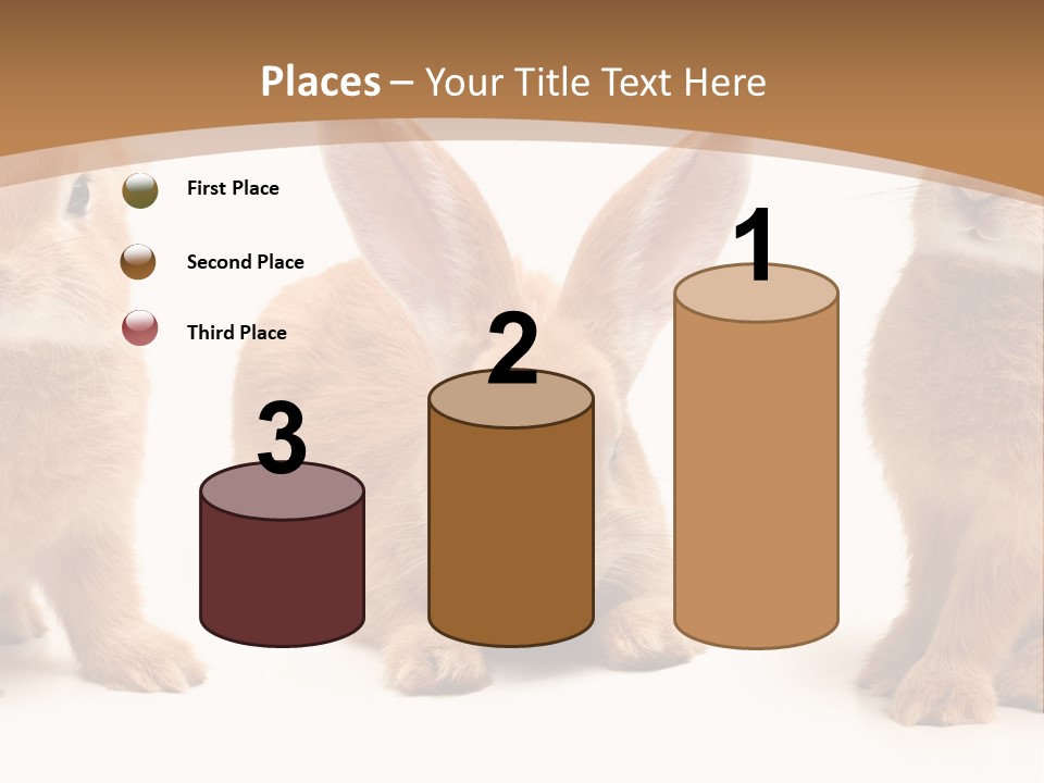 A Group Of Rabbits Sitting Next To Each Other PowerPoint Template
