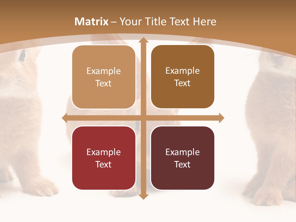 A Group Of Rabbits Sitting Next To Each Other PowerPoint Template