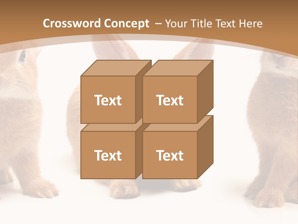 A Group Of Rabbits Sitting Next To Each Other PowerPoint Template