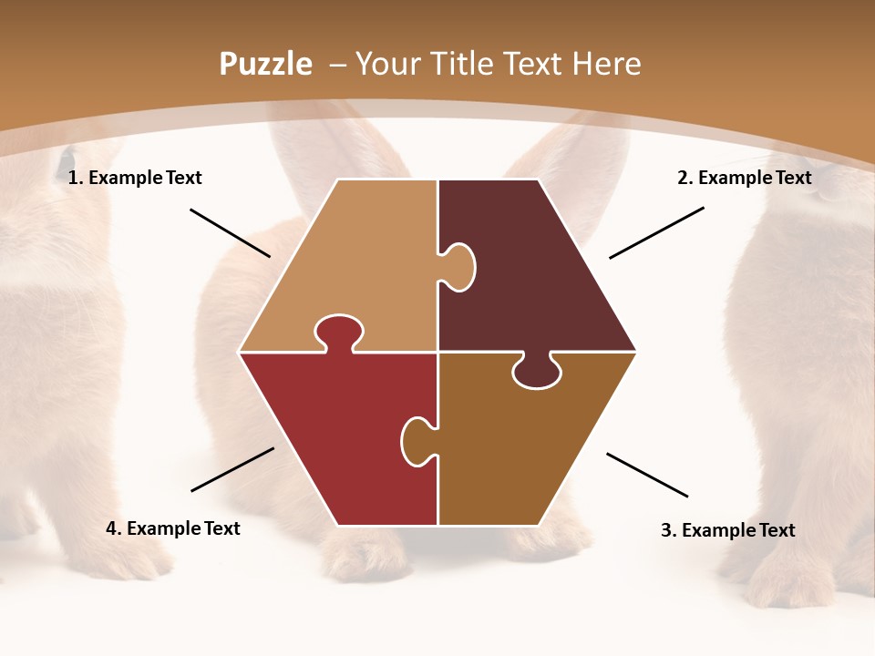 A Group Of Rabbits Sitting Next To Each Other PowerPoint Template