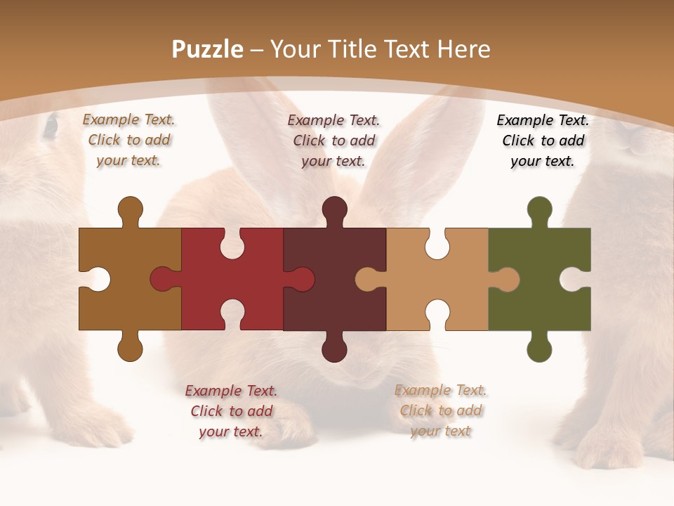 A Group Of Rabbits Sitting Next To Each Other PowerPoint Template