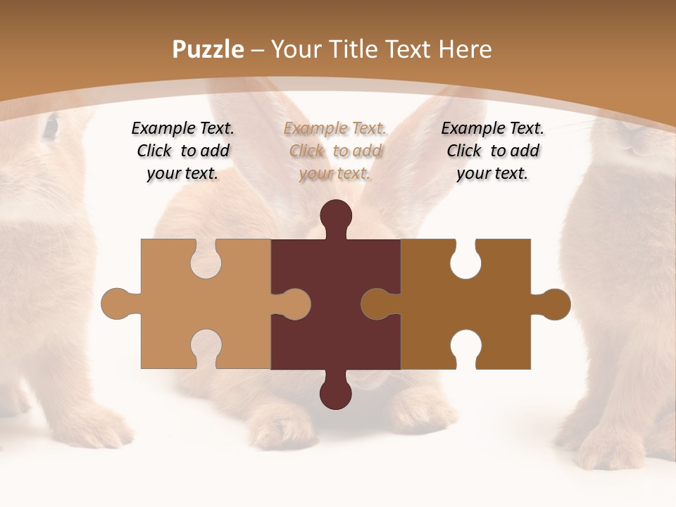 A Group Of Rabbits Sitting Next To Each Other PowerPoint Template