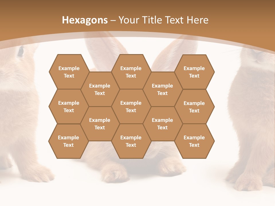 A Group Of Rabbits Sitting Next To Each Other PowerPoint Template