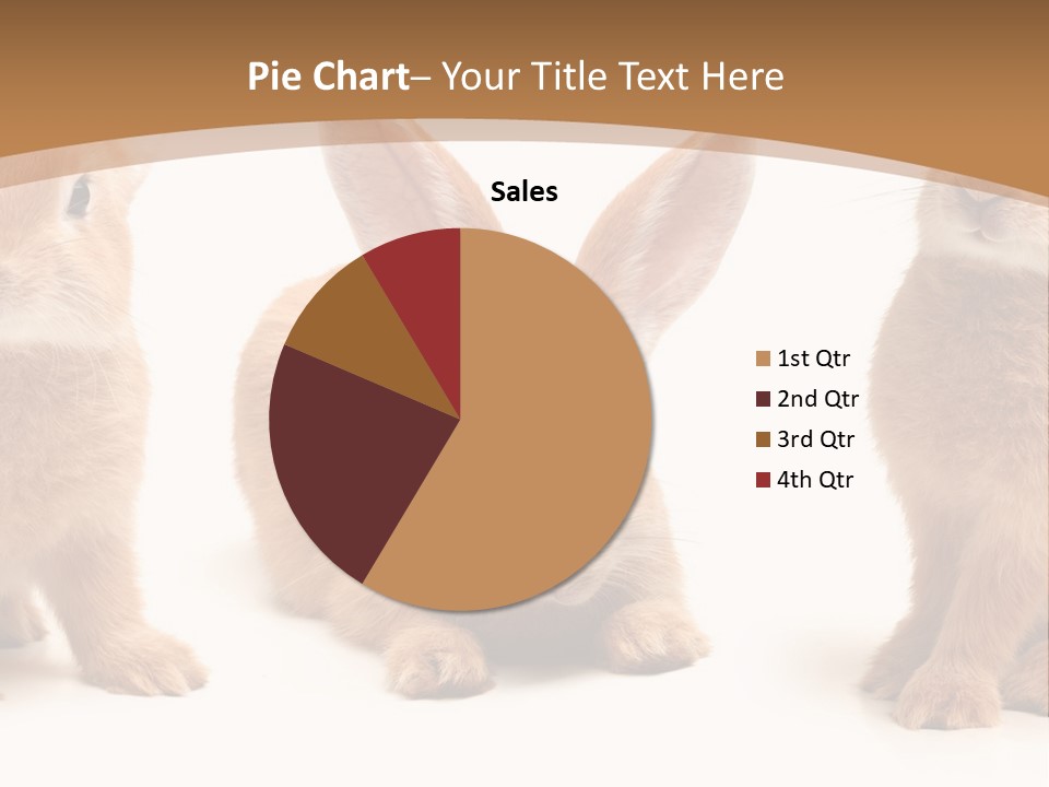 A Group Of Rabbits Sitting Next To Each Other PowerPoint Template