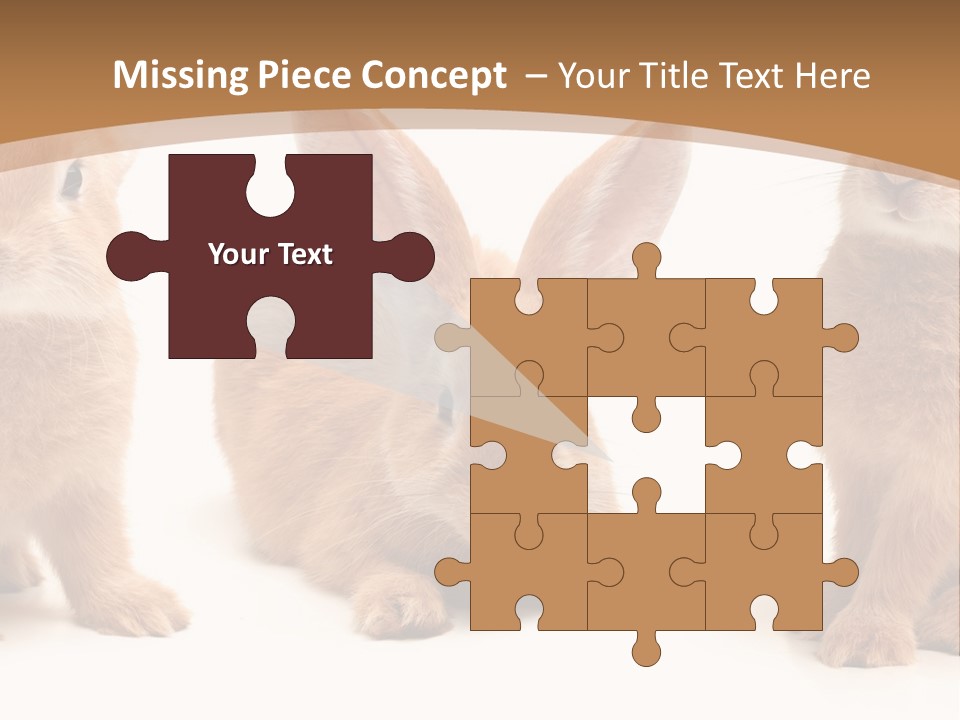 A Group Of Rabbits Sitting Next To Each Other PowerPoint Template