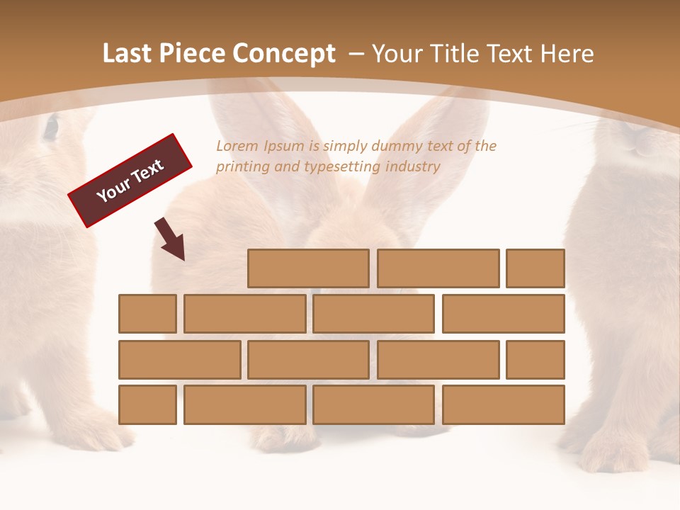 A Group Of Rabbits Sitting Next To Each Other PowerPoint Template