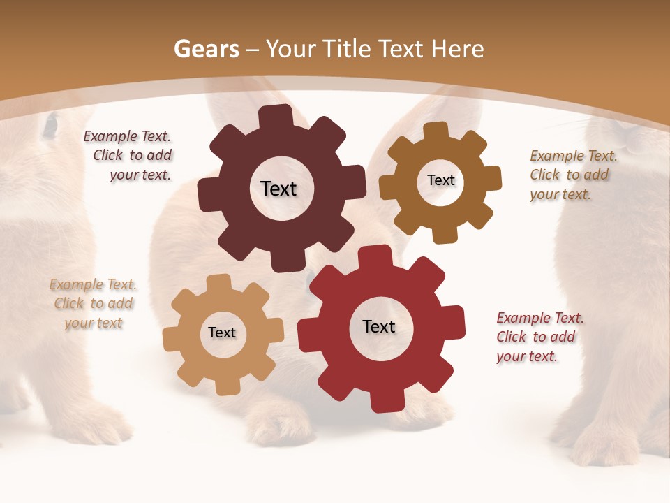 A Group Of Rabbits Sitting Next To Each Other PowerPoint Template