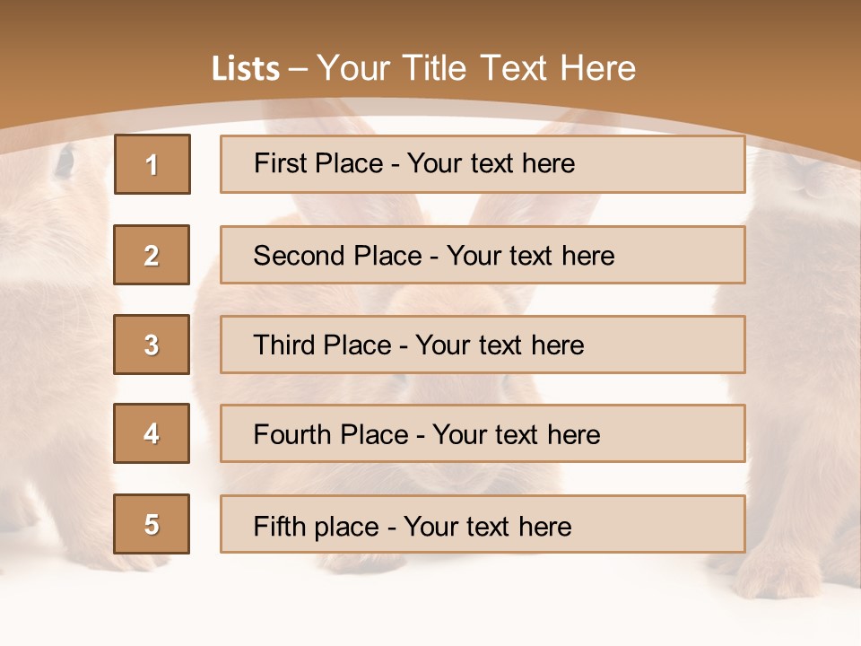 A Group Of Rabbits Sitting Next To Each Other PowerPoint Template