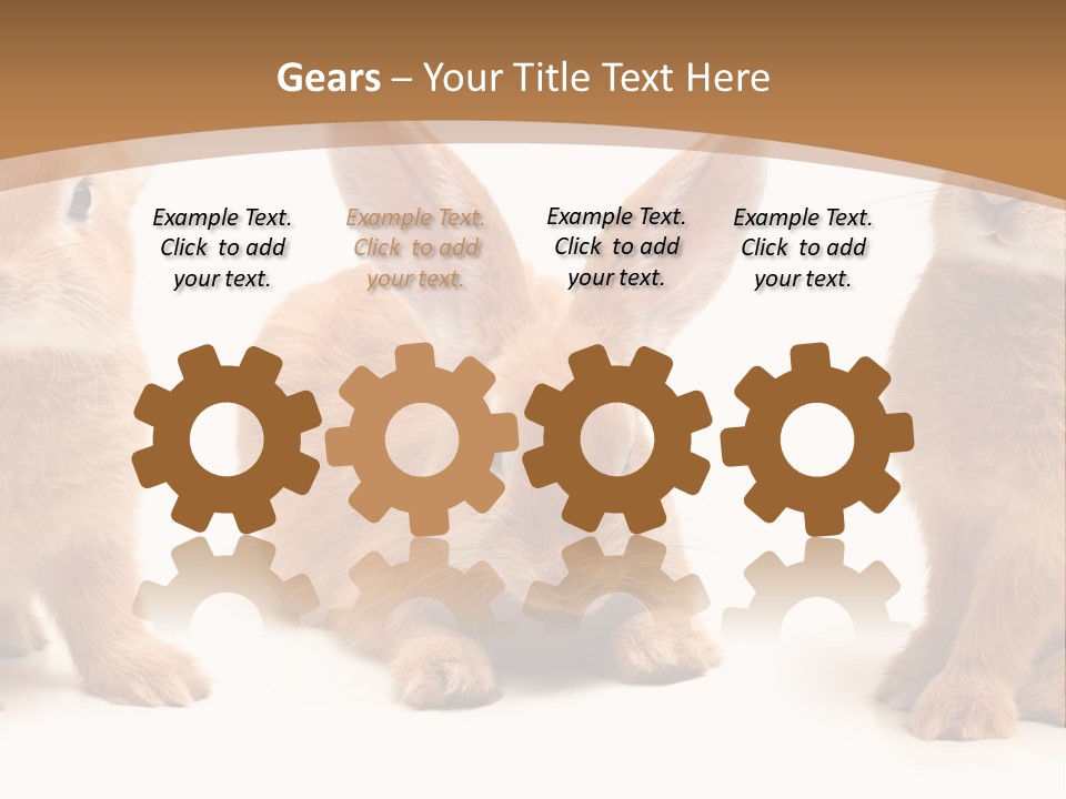 A Group Of Rabbits Sitting Next To Each Other PowerPoint Template