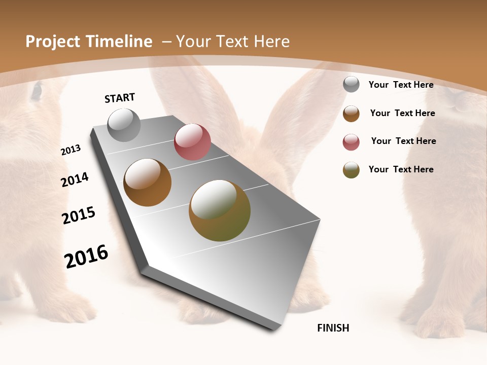 A Group Of Rabbits Sitting Next To Each Other PowerPoint Template