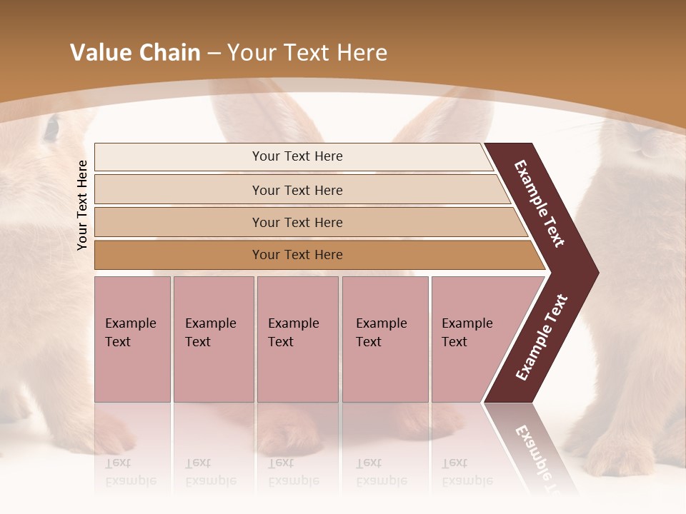 A Group Of Rabbits Sitting Next To Each Other PowerPoint Template