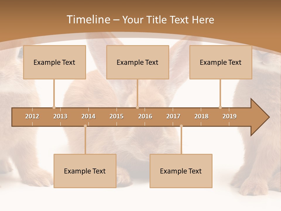 A Group Of Rabbits Sitting Next To Each Other PowerPoint Template
