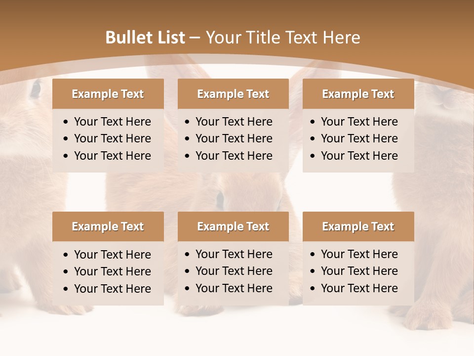 A Group Of Rabbits Sitting Next To Each Other PowerPoint Template
