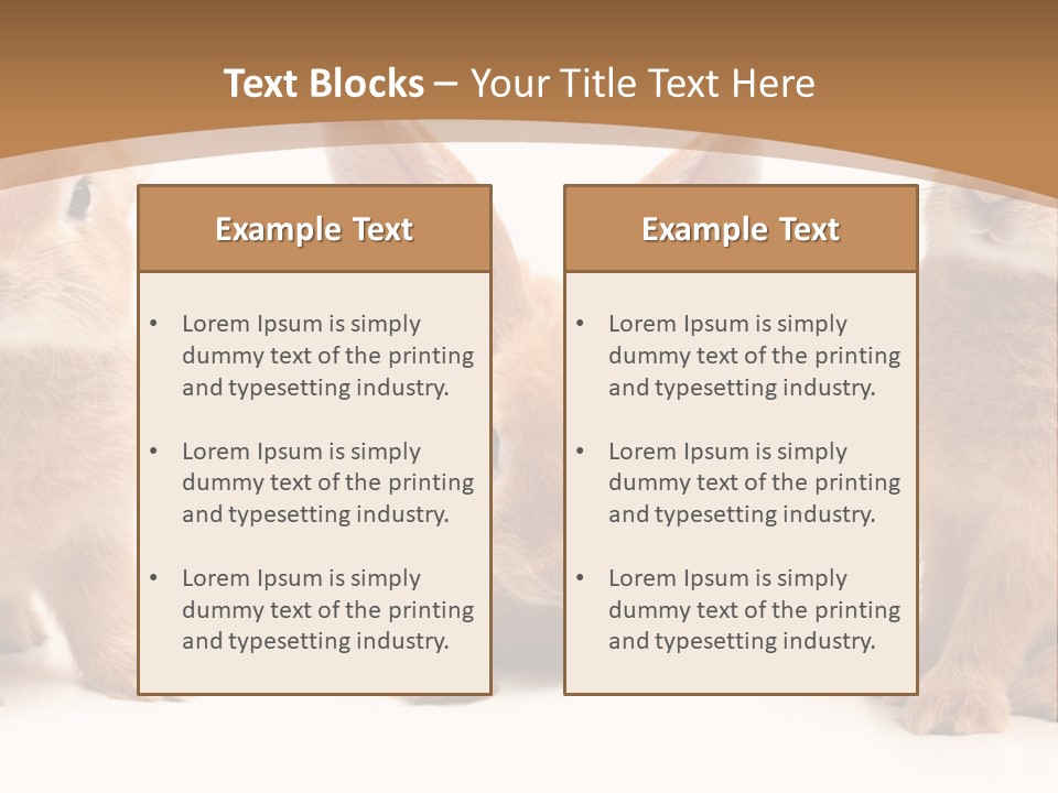 A Group Of Rabbits Sitting Next To Each Other PowerPoint Template
