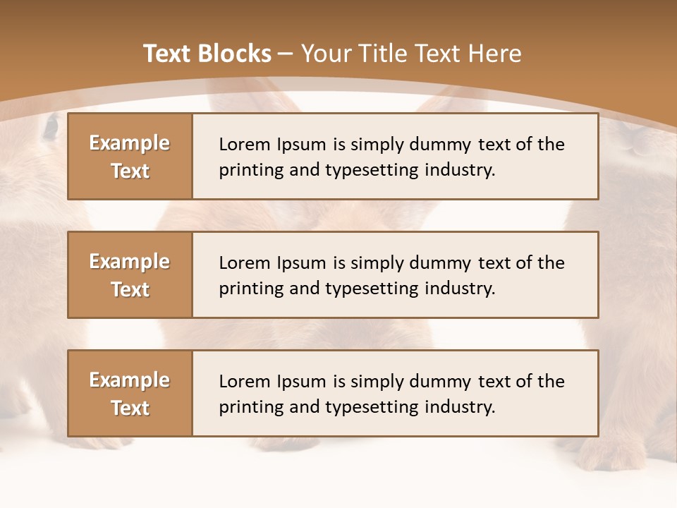 A Group Of Rabbits Sitting Next To Each Other PowerPoint Template