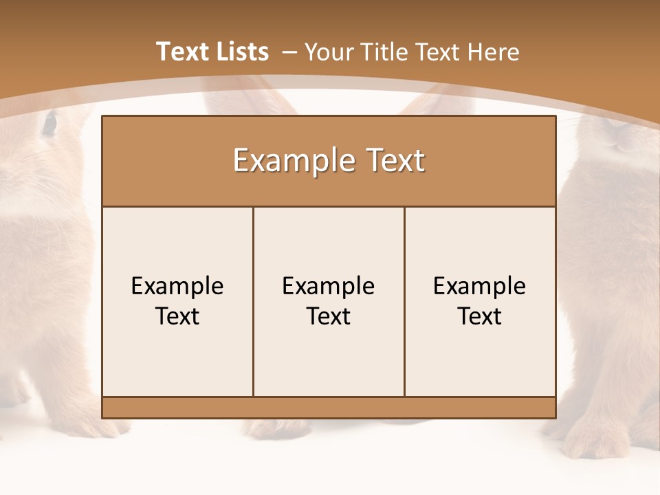 A Group Of Rabbits Sitting Next To Each Other PowerPoint Template