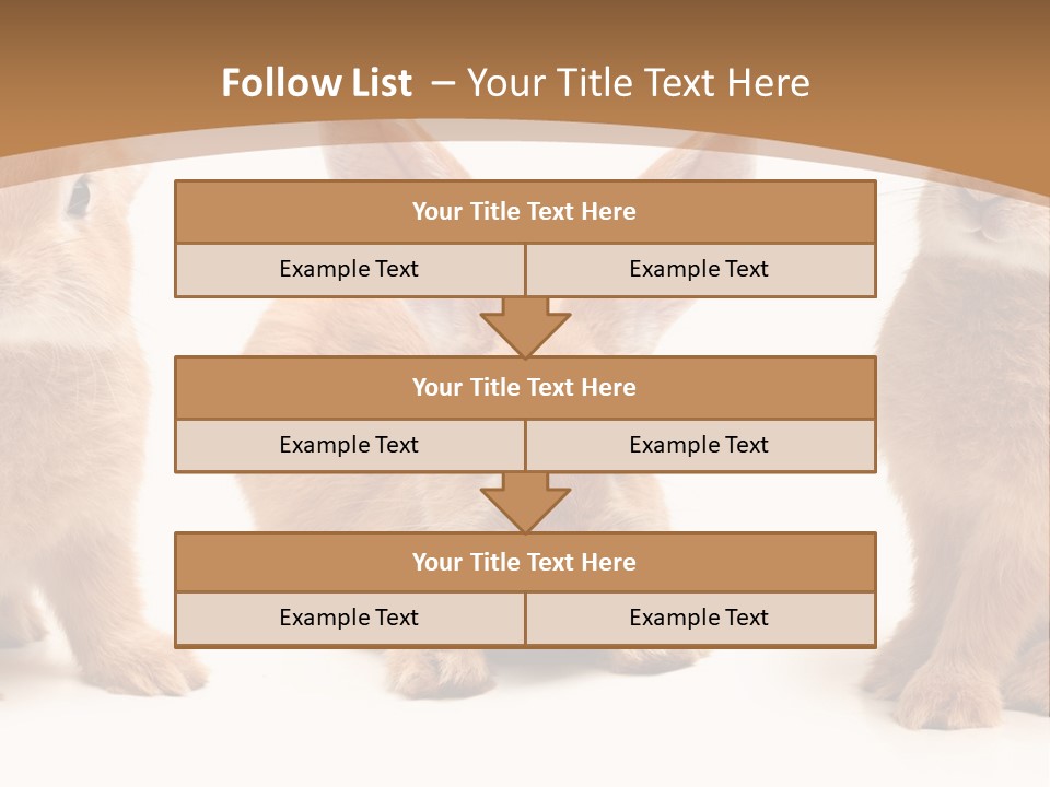 A Group Of Rabbits Sitting Next To Each Other PowerPoint Template