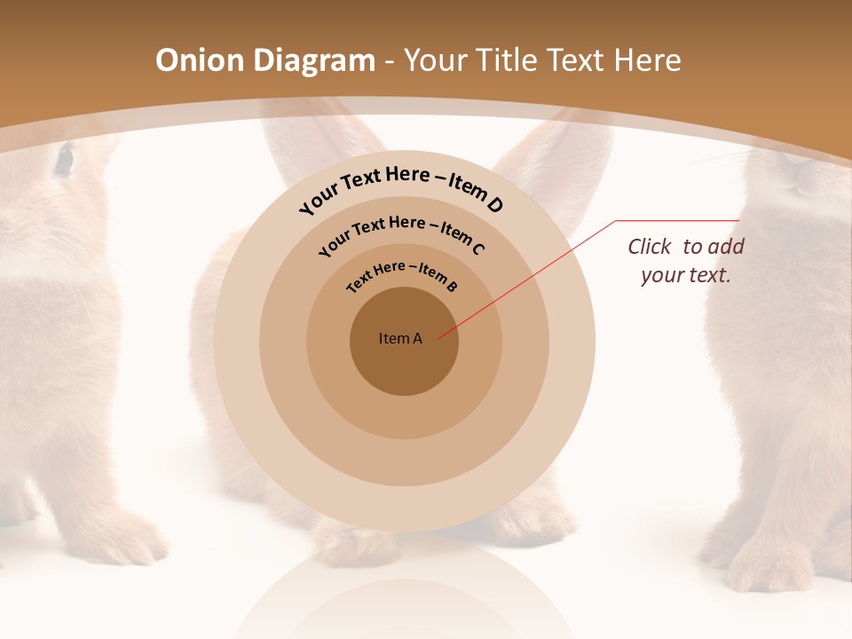 A Group Of Rabbits Sitting Next To Each Other PowerPoint Template
