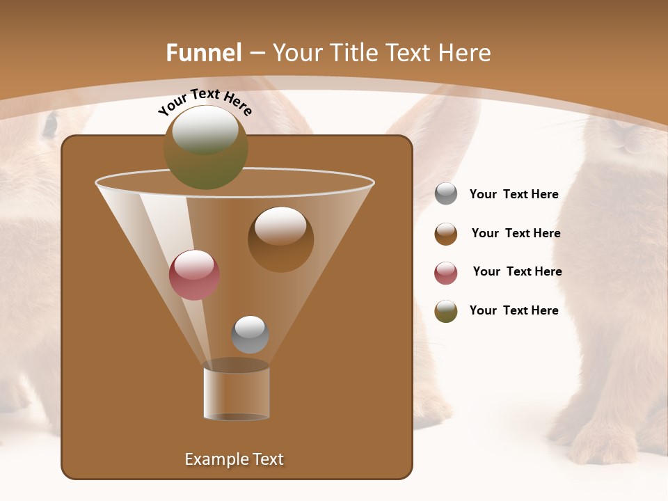 A Group Of Rabbits Sitting Next To Each Other PowerPoint Template