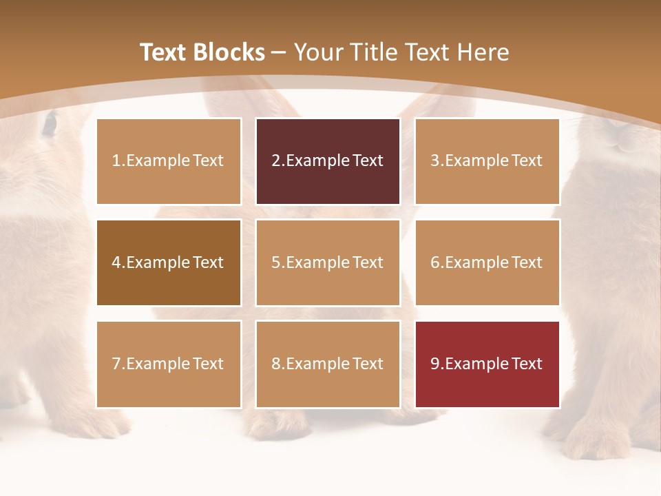 A Group Of Rabbits Sitting Next To Each Other PowerPoint Template