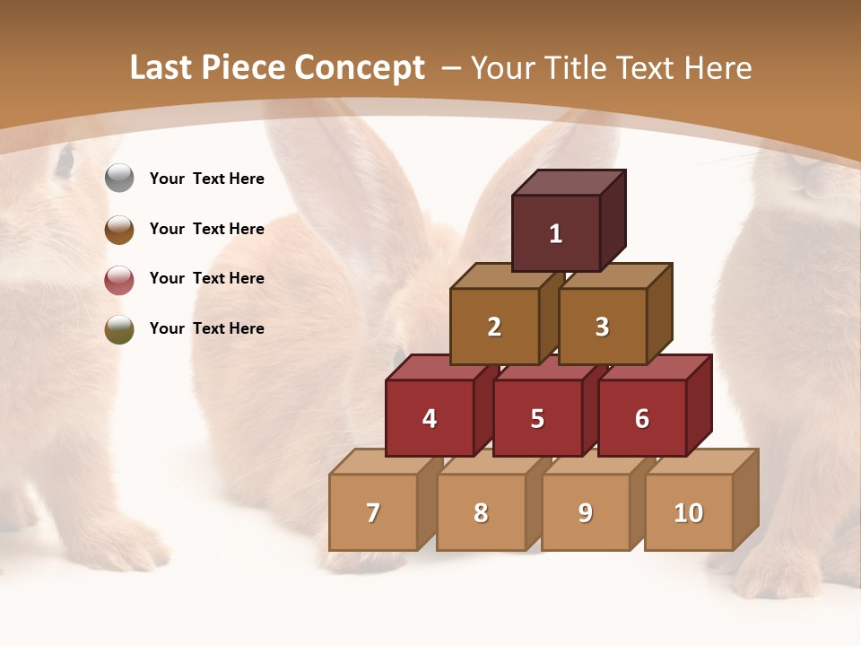 A Group Of Rabbits Sitting Next To Each Other PowerPoint Template