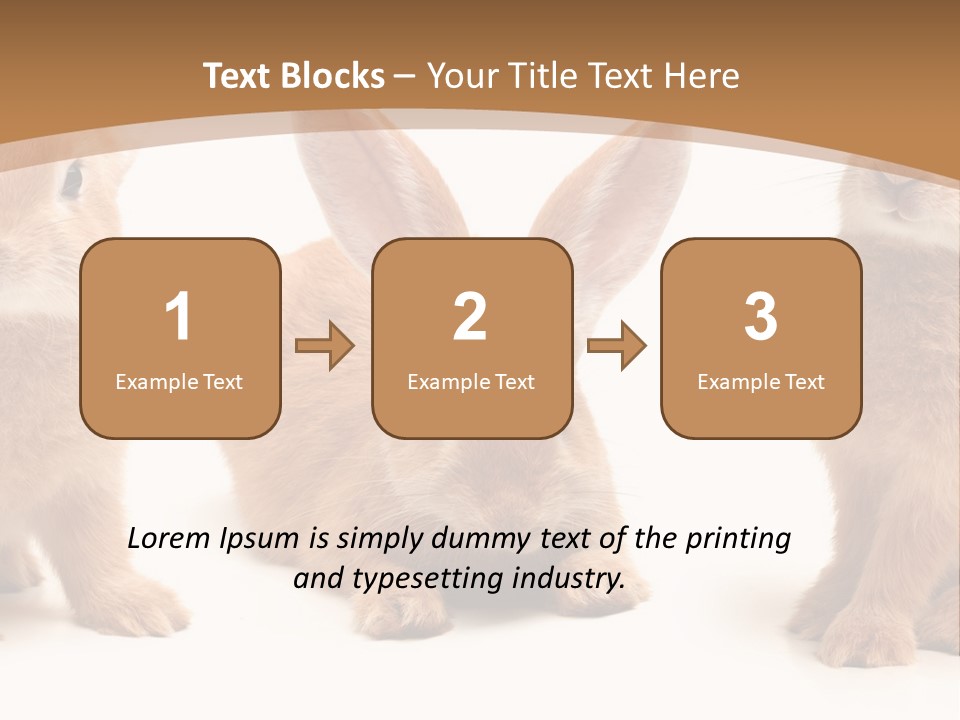 A Group Of Rabbits Sitting Next To Each Other PowerPoint Template