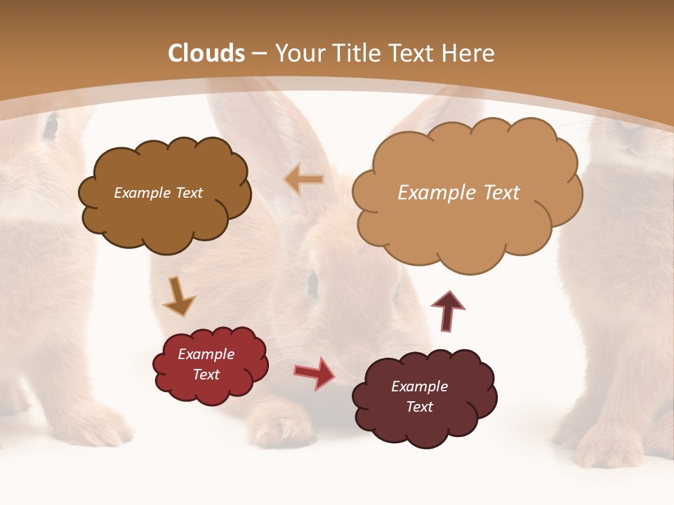 A Group Of Rabbits Sitting Next To Each Other PowerPoint Template