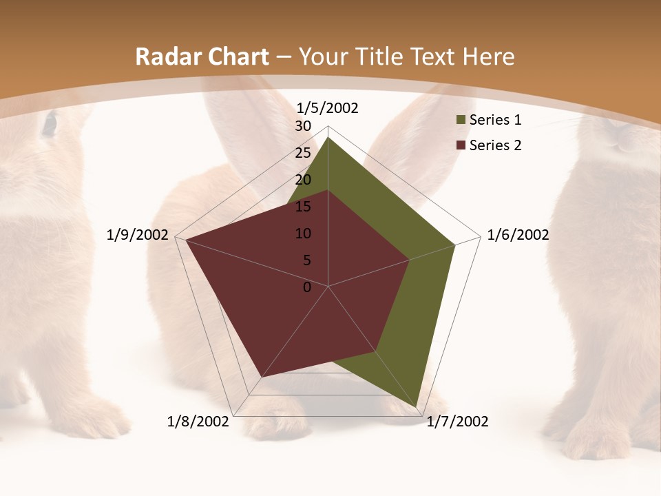 A Group Of Rabbits Sitting Next To Each Other PowerPoint Template