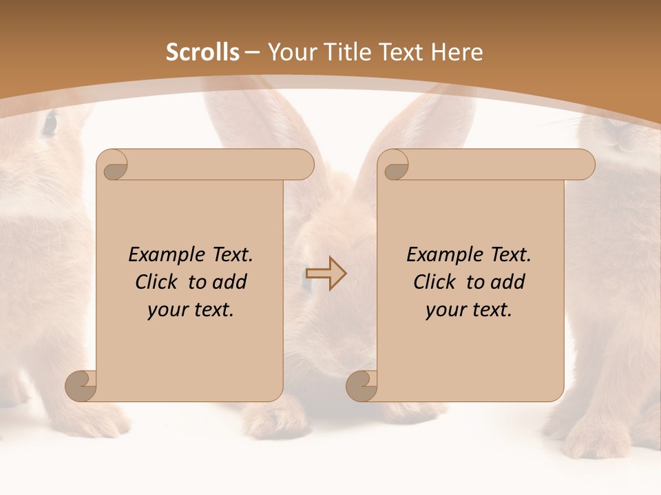 A Group Of Rabbits Sitting Next To Each Other PowerPoint Template