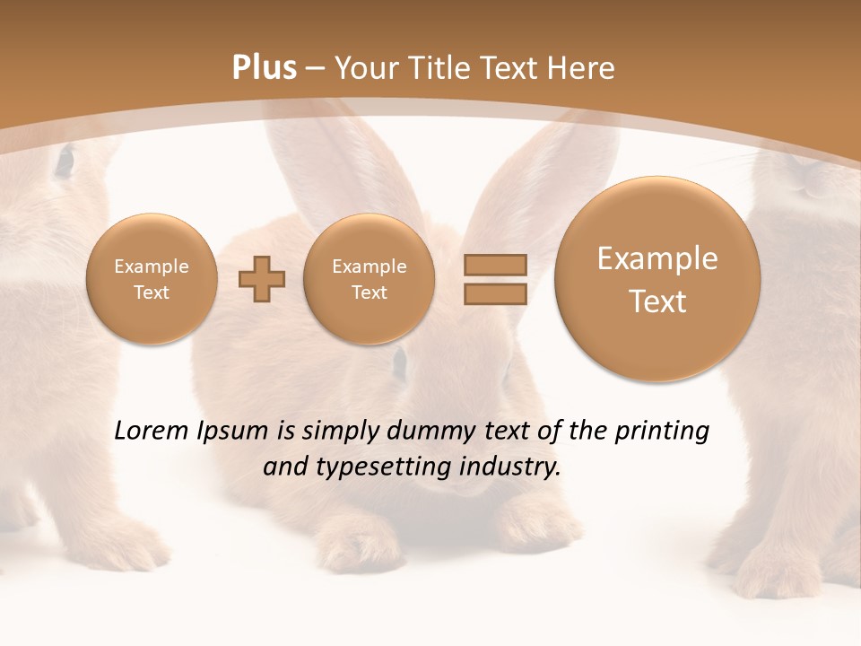 A Group Of Rabbits Sitting Next To Each Other PowerPoint Template