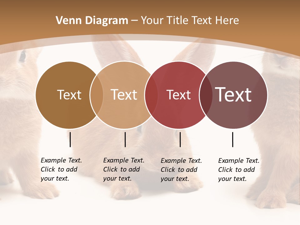 A Group Of Rabbits Sitting Next To Each Other PowerPoint Template