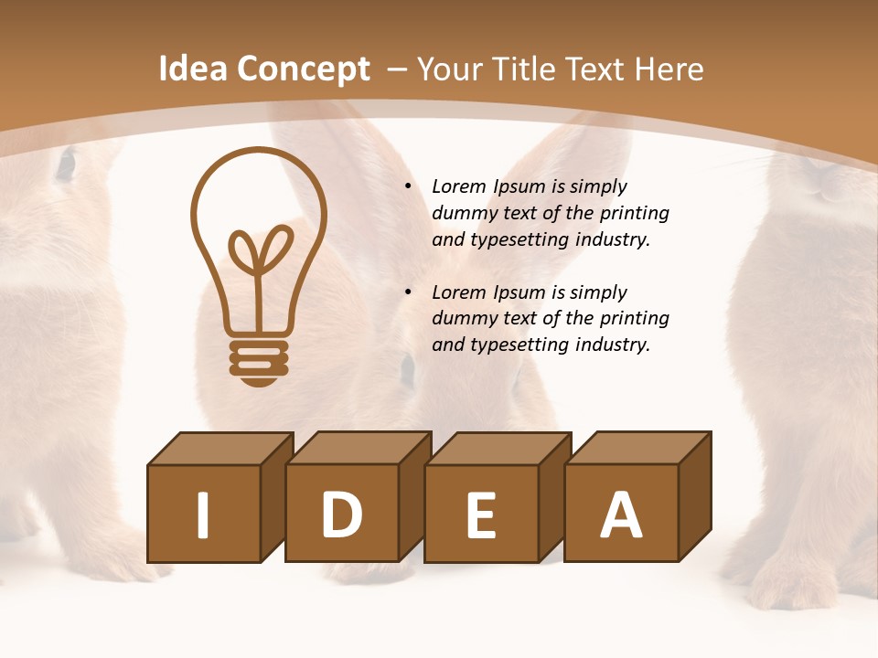 A Group Of Rabbits Sitting Next To Each Other PowerPoint Template