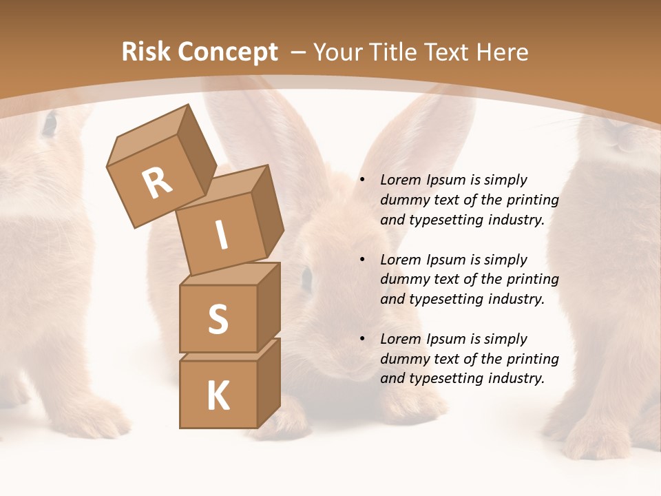 A Group Of Rabbits Sitting Next To Each Other PowerPoint Template
