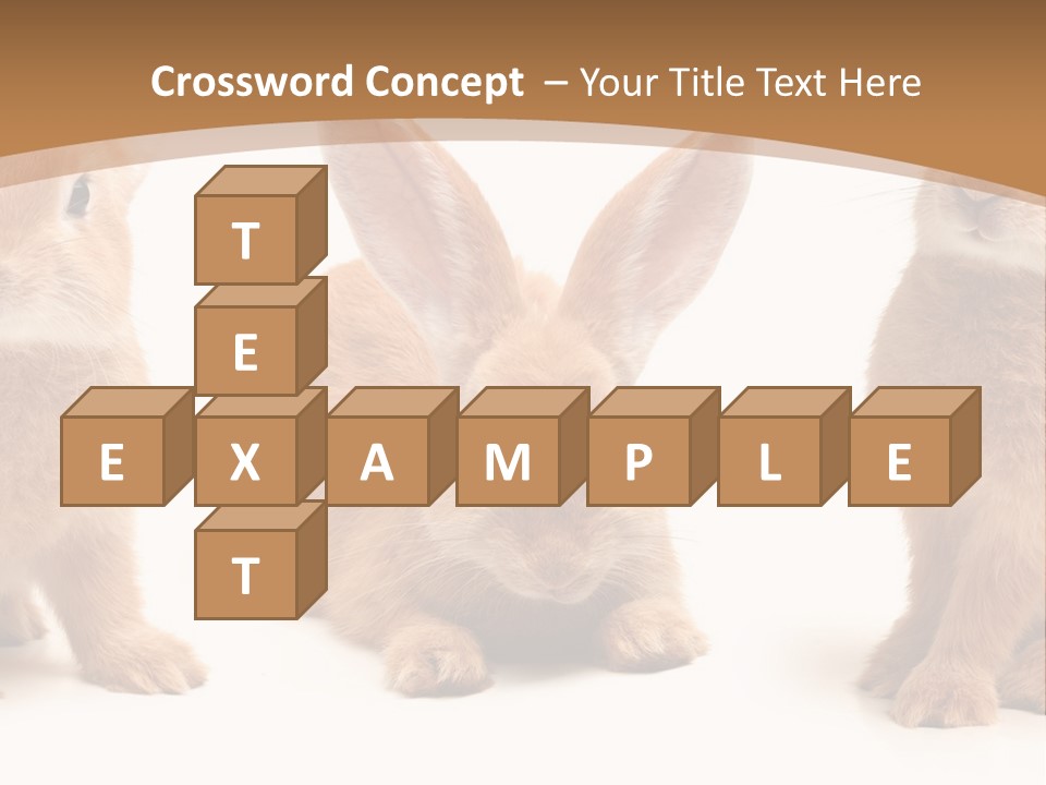 A Group Of Rabbits Sitting Next To Each Other PowerPoint Template