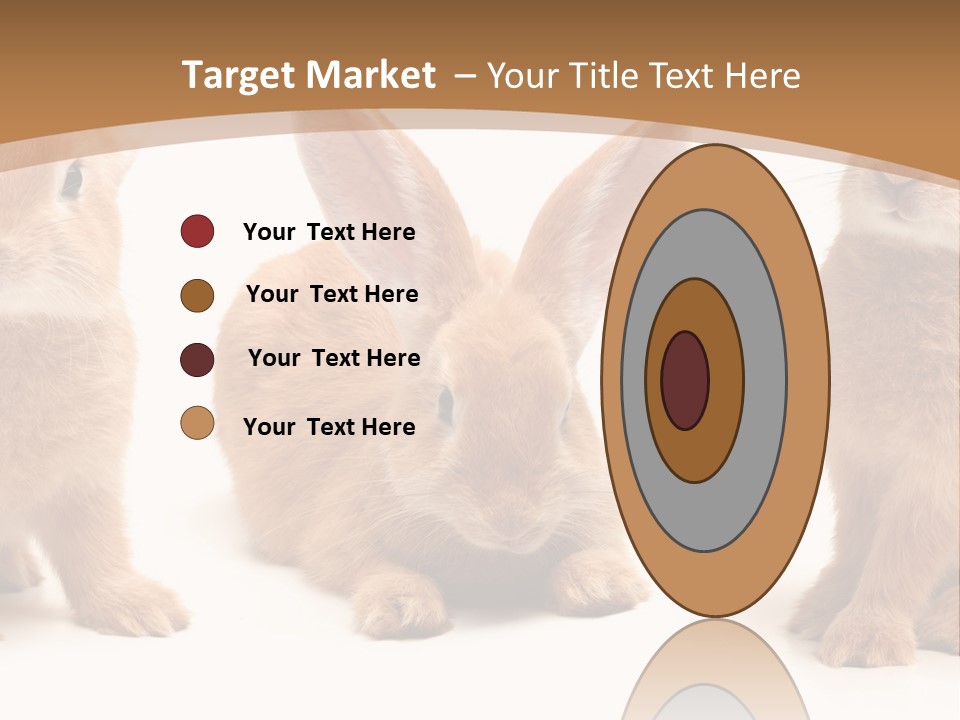 A Group Of Rabbits Sitting Next To Each Other PowerPoint Template