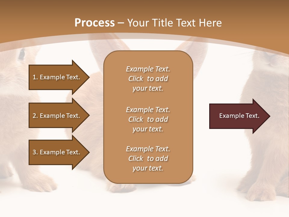 A Group Of Rabbits Sitting Next To Each Other PowerPoint Template