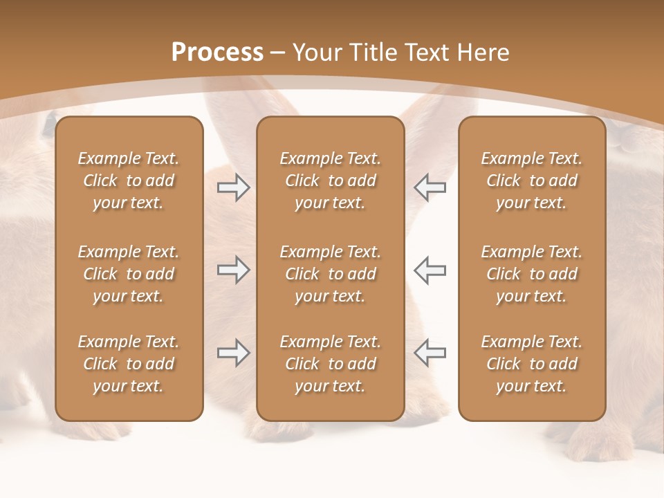 A Group Of Rabbits Sitting Next To Each Other PowerPoint Template