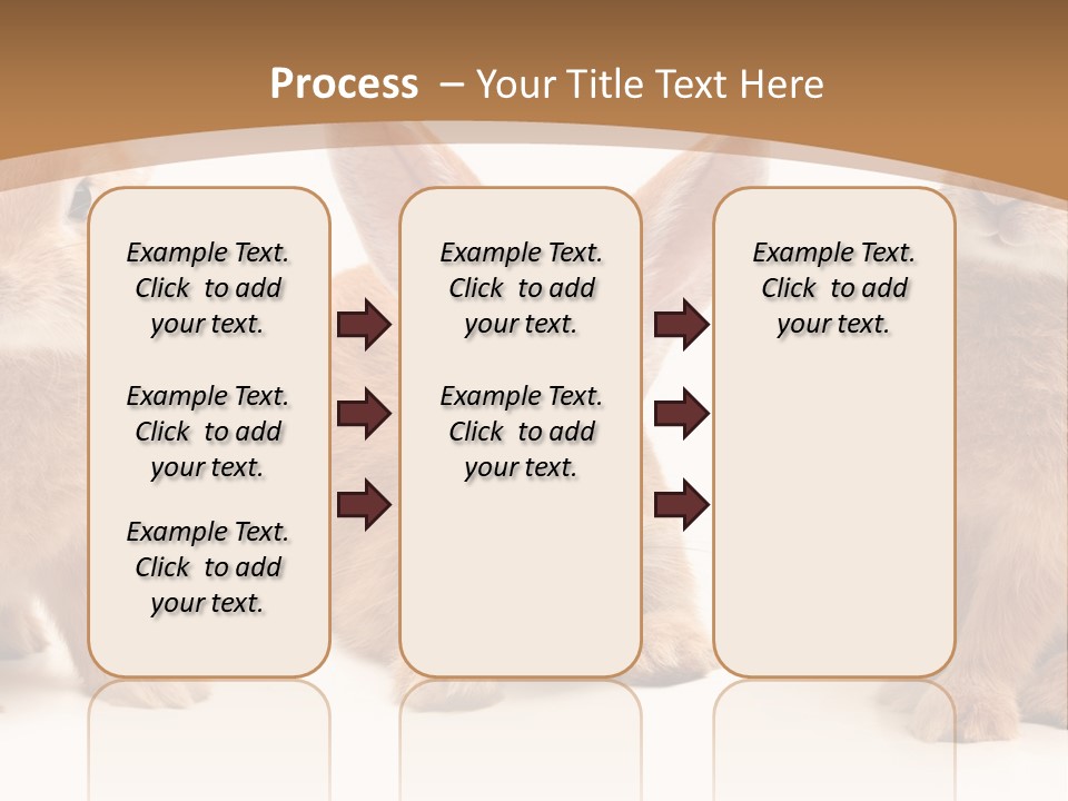 A Group Of Rabbits Sitting Next To Each Other PowerPoint Template