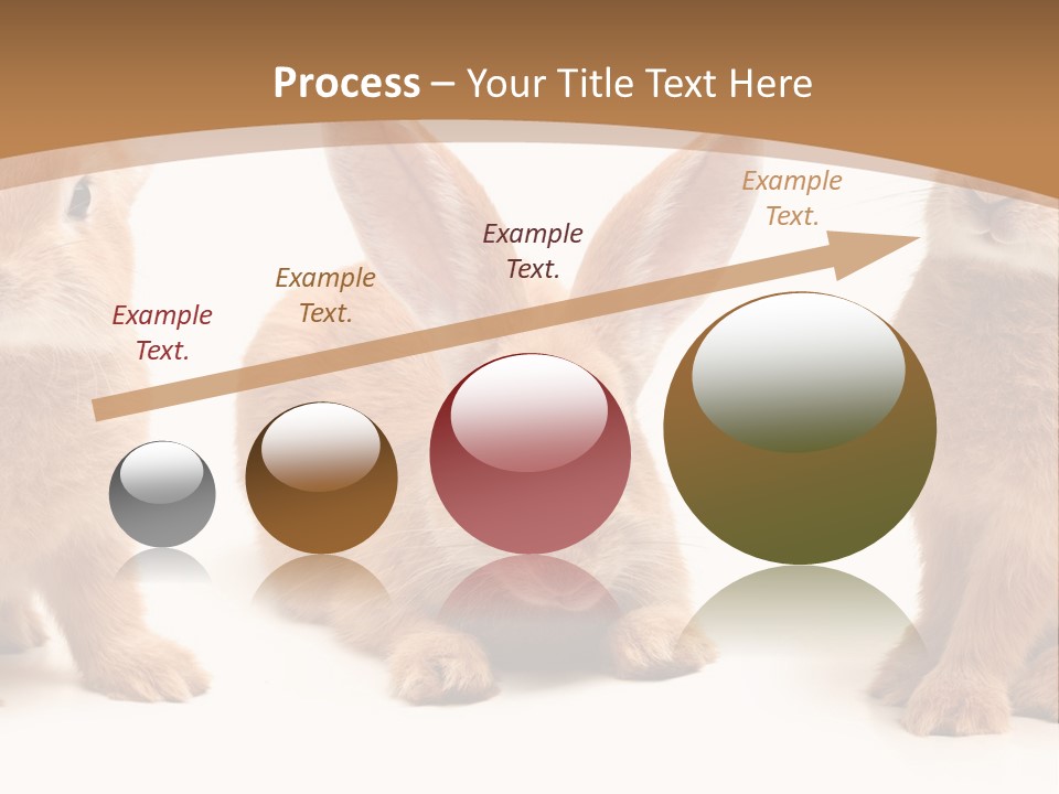 A Group Of Rabbits Sitting Next To Each Other PowerPoint Template